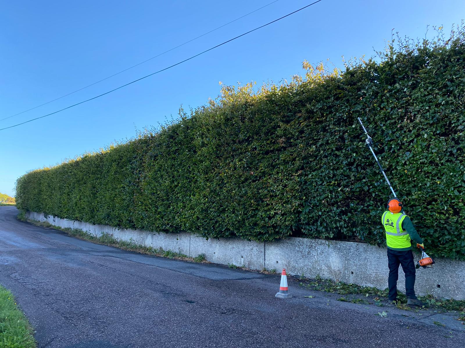 Hedge Cutting